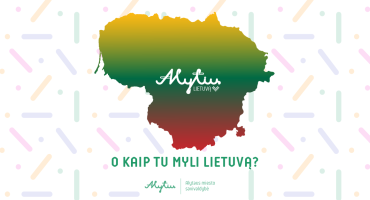 Maketas svetainei _Монтажная область 1.png