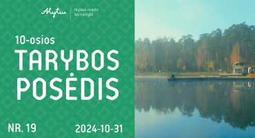 Tarybos posedžio maketas Nr.19_Монтажная область 1.png