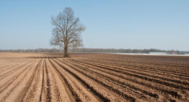 fd139dd6-2ea3-4227-bcf3-de512a6b6bb6.jpg__886x590_q85_ALIAS-article_autocrop_crop-smart_subsampling-2.jpg