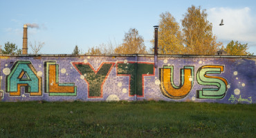 Mindaugas Kavaliauskas_008_Alytus_20_1024-miestai-zenklai-Alytus 60-lvl-rt.jpg