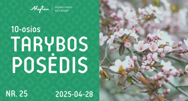 Tarybos posedžio maketas Nr.25_Монтажная область 1.png