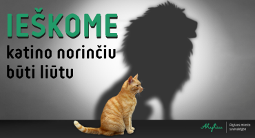 Maketas svetainei -04.png