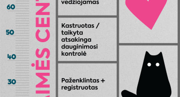 „100 laimės centimetrų“: kaip išmatuoti augintinio laimę?