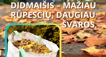 Didmaisiai11.png