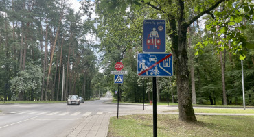 Basanavičiaus g..jpeg