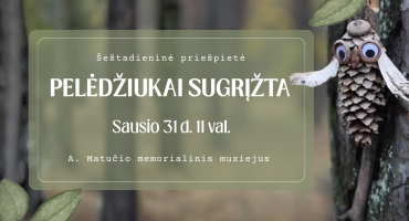 Pelėdžiukai sugrįžta web.png