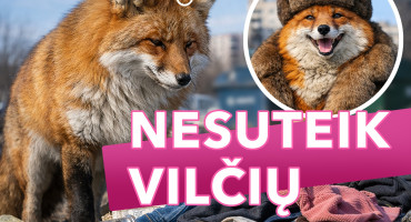 SV Lape straipsniui copy.jpg