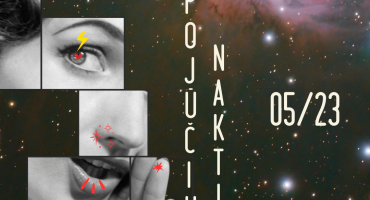POJŪČIŲ NAKTIS web.png