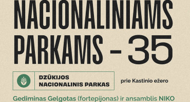 Dzūkija.jpg