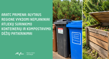 Maketas svetainei .png