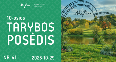 Tarybos posedžio maketas Nr.41.png