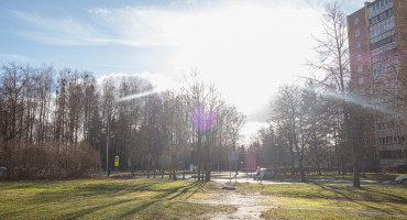 DSCF8194.jpg