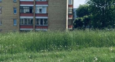 Žolė (Tvarkau Alytų nuotrauka).jpeg