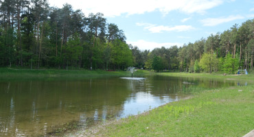 DSCF5461.JPG
