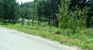 apleisti sklypai (AMS nuotr.).JPG