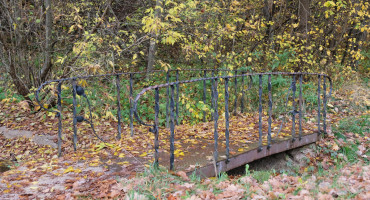 DSCF1237.JPG