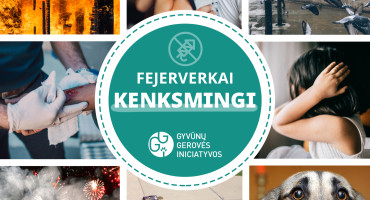 Fejerverkai kenksmingi - FB post.jpg