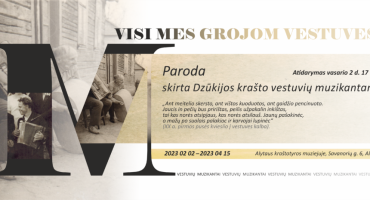 VESTUVES-1-sausio17-VIESINIMUI-maz-1024x465.png