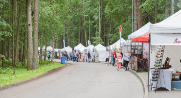 Alytaus miesto šventė (AMS nuot (1).jpg