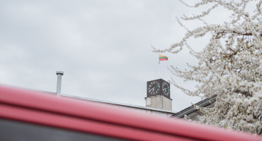 DSCF6682-2.jpg