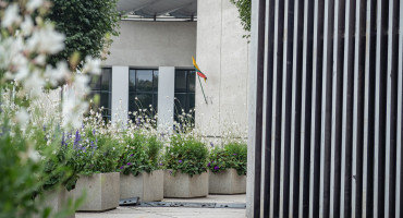 DSCF8232.jpg