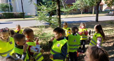 Alytuje paminėta Europos judumo savaitė