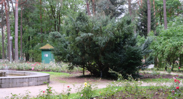 DSCF8210.JPG