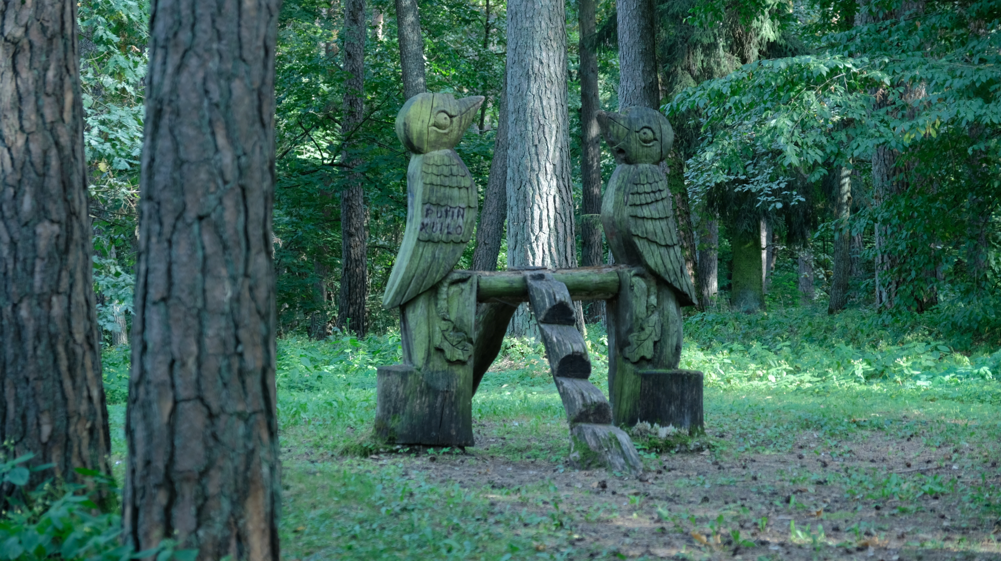 Kurorto parkas (AMS VURS nuotr (10).JPG