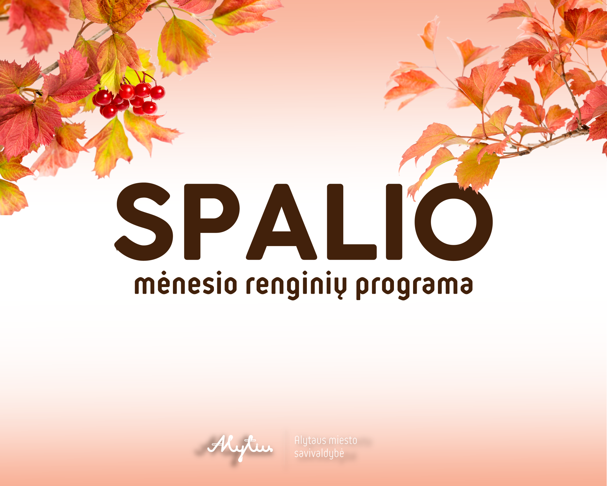 Maketas Programai 1920x1536 10 mėn.png