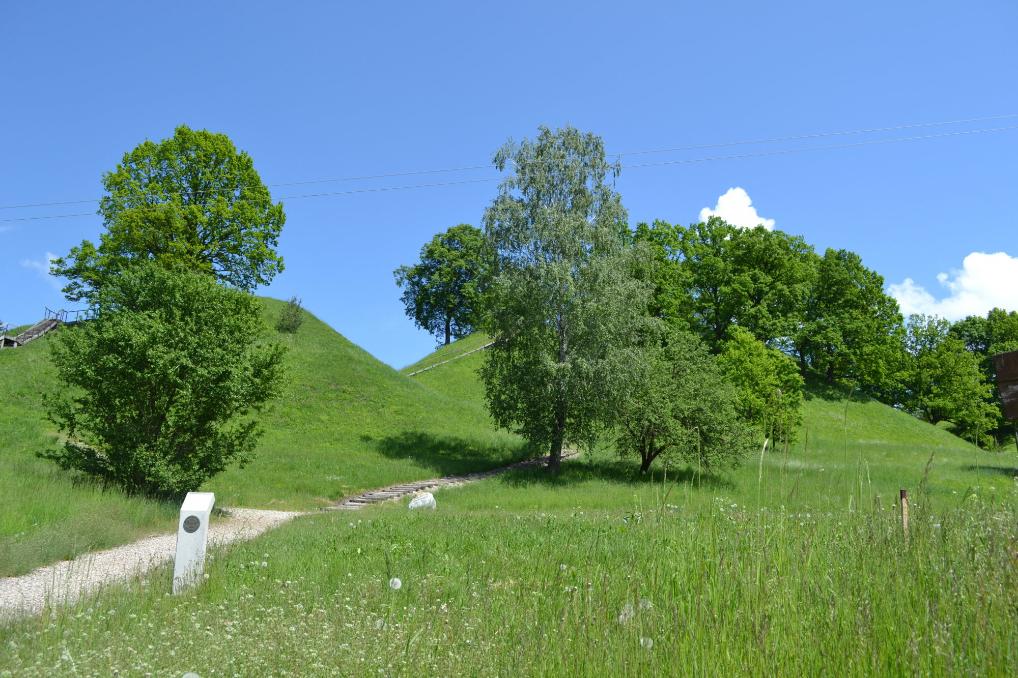 DSC_0269.jpg
