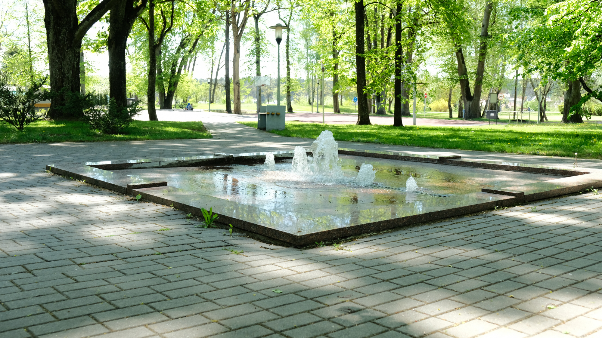 DSCF1387.JPG