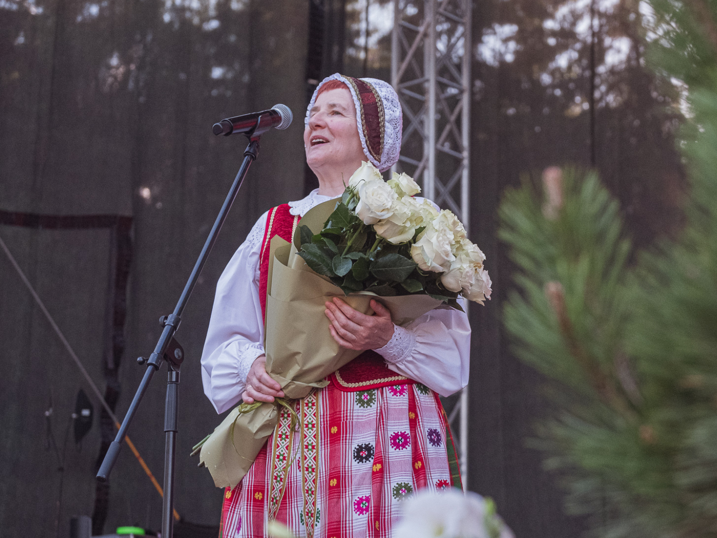 Alytaus miesto šventė (AMS nuot (134).jpg